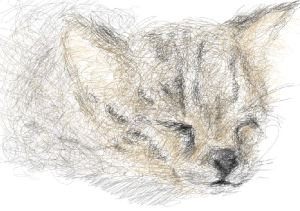 Linework - Kitten illustration on photoshop